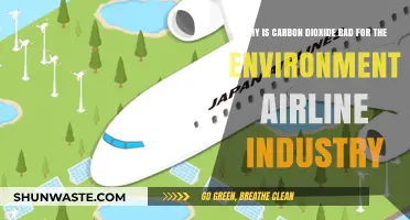 Carbon Dioxide's Impact: Environmental Challenges for the Airline Industry