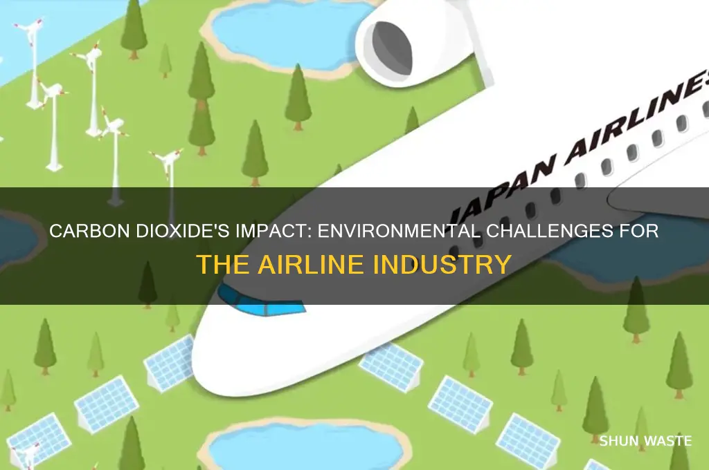 why is carbon dioxide bad for the environment airline industry
