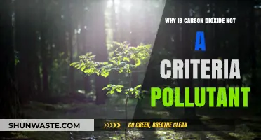 Why Carbon Dioxide Isn't Classified as a Criteria Pollutant