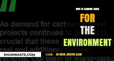Carbon's Surprising Role: Boosting Ecosystems and Environmental Health