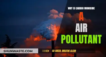Carbon Monoxide: A Silent, Deadly Air Pollutant