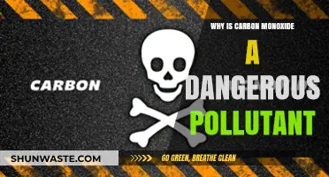 Carbon Monoxide: The Silent, Deadly Pollutant and Its Hidden Dangers