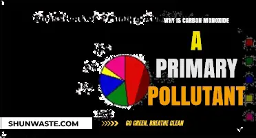 Carbon Monoxide: A Silent Killer and Primary Pollutant Explained