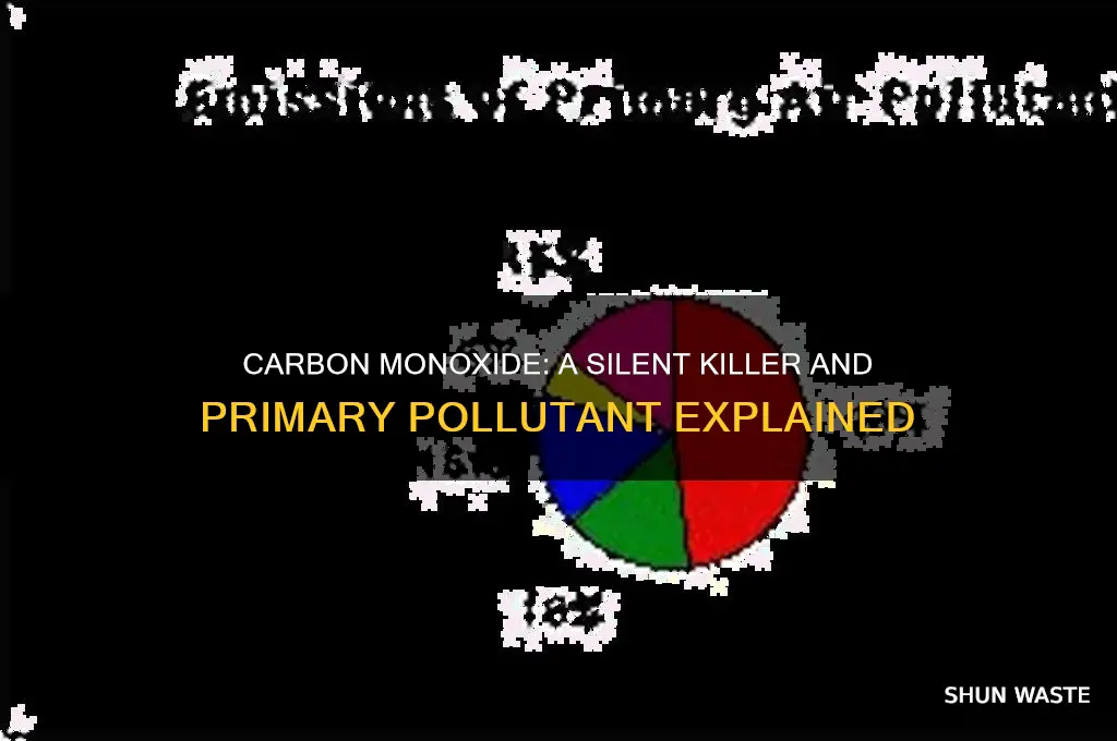 why is carbon monoxide a primary pollutant