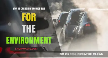 Carbon Monoxide's Environmental Impact: Harmful Effects and Global Concerns