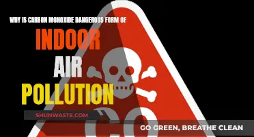 Carbon Monoxide: A Silent, Deadly Indoor Air Danger