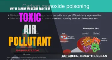 Carbon Monoxide: A Silent, Deadly Air Pollutant