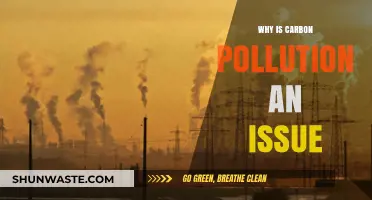 Carbon Pollution Crisis: Understanding Its Impact on Our Planet's Future