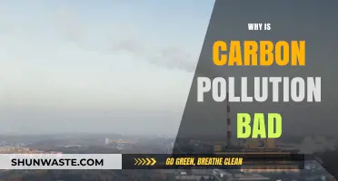 Carbon Pollution's Devastating Impact: Understanding Its Harmful Effects on Our Planet