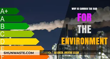 Carbon Tax's Hidden Costs: Environmental Pitfalls and Unintended Consequences