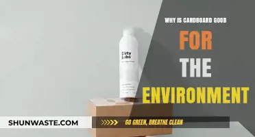 Eco-Friendly Cardboard: Sustainable Benefits for a Greener Planet Explained