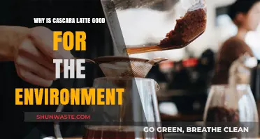 Cascara Latte: A Sustainable Coffee Choice for Eco-Friendly Living