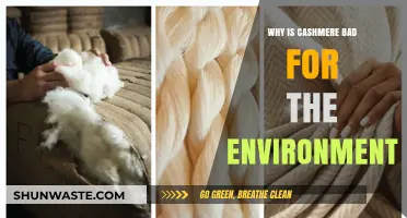 Cashmere's Dark Side: Environmental Impact and Unsustainable Practices