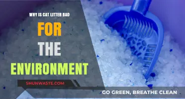 The Hidden Environmental Impact of Cat Litter: What You Need to Know