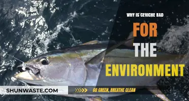 Ceviche's Environmental Impact: Unsustainable Fishing Practices and Ecosystem Harm