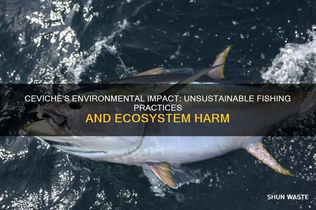 why is ceviche bad for the environment
