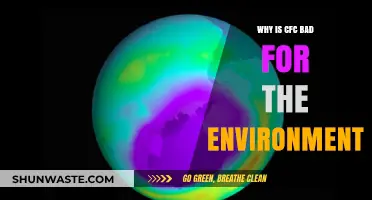 CFCs: The Ozone-Depleting Chemicals Harming Our Planet's Health