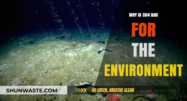 Methane's Environmental Impact: How CH4 Accelerates Climate Change