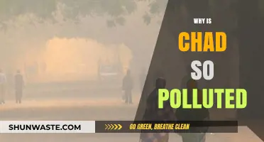 Chad's Pollution Crisis: Understanding the Country's Environmental Challenges