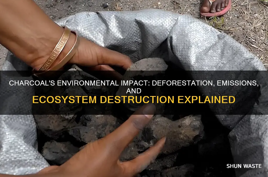 why is charcoal bad for the environment