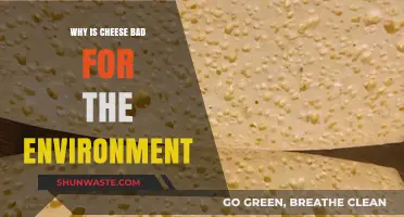 Cheese's Environmental Impact: Uncovering Dairy's Hidden Ecological Footprint