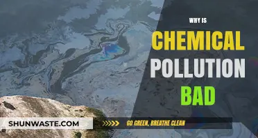 Chemical Pollution's Devastating Impact: Harming Ecosystems, Health, and Our Future