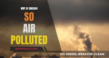 Chicago's Air Pollution: What's Behind the Smog?