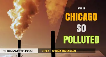 Chicago's Pollution Crisis: Uncovering the Causes and Consequences