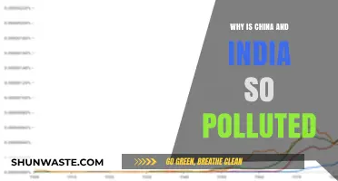 Unveiling the Pollution Crisis: China and India's Environmental Challenges