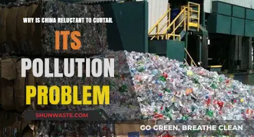 China's Pollution Dilemma: Economic Growth vs. Environmental Responsibility