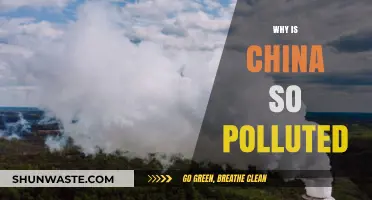 China's Pollution Crisis: Why It's So Bad