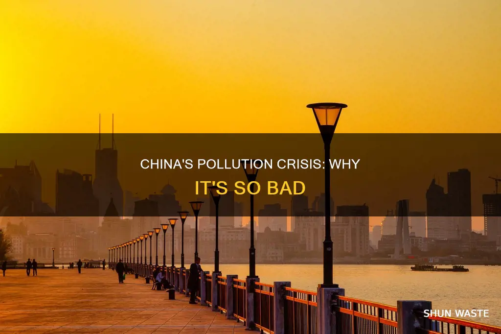 why is china so polluted