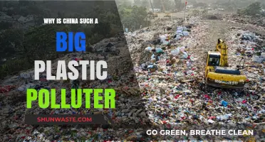 China's Plastic Pollution Crisis: Causes, Impacts, and Solutions