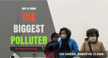 China's Pollution Crisis: Unraveling the World's Largest Polluter