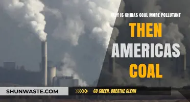China's Coal vs. America's: Uncovering the Pollution Disparity