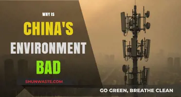 China's Environmental Crisis: Causes, Impacts, and Urgent Solutions Needed