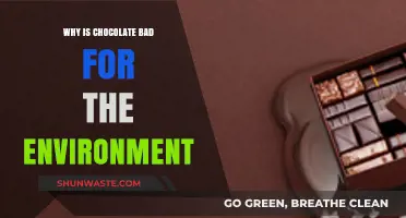 Chocolate's Dark Side: Environmental Impact and Sustainability Concerns