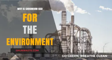 Chromium's Environmental Impact: Pollution, Health Risks, and Ecosystem Destruction Explained