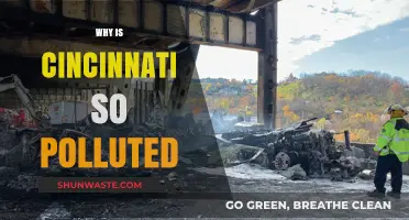 Cincinnati's Pollution Crisis: Uncovering the Causes and Consequences