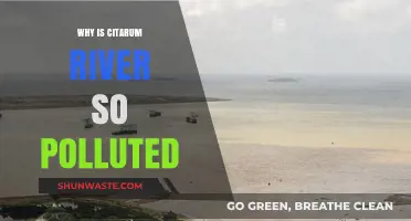 Unveiling the Devastating Pollution Crisis of Indonesia's Citarum River