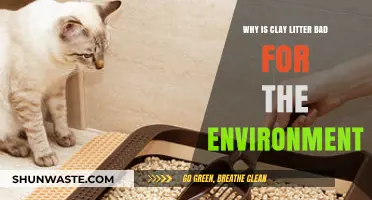 Clay Cat Litter's Hidden Environmental Impact: A Sustainable Alternative Needed