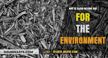 Clear Cutting's Devastating Impact: Environmental Consequences and Sustainable Alternatives