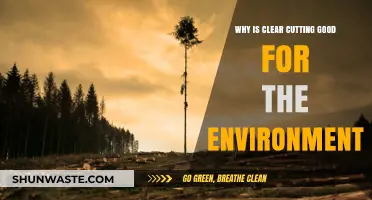 Clear Cutting: Unveiling Surprising Environmental Benefits and Ecosystem Renewal