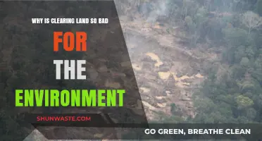 Clearing Land Destroys Ecosystems, Accelerates Climate Change, and Erodes Soil