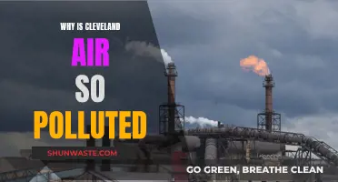 Cleveland's Air Pollution Crisis: Why Is It So Bad?