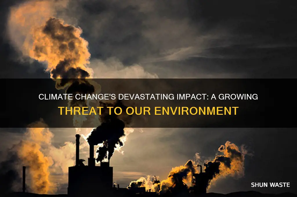 why is climate change a threat to the environment