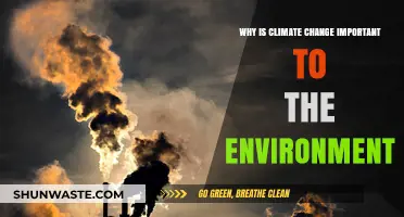 Climate Change's Impact: Why Environmental Preservation is Crucial for Survival