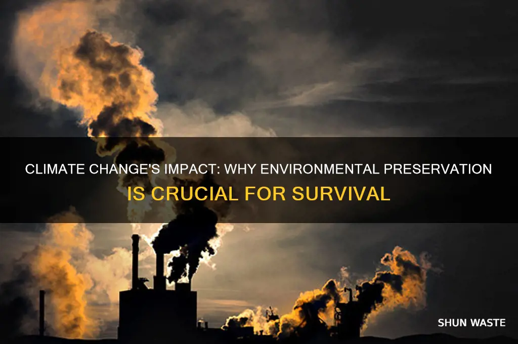 why is climate change important to the environment