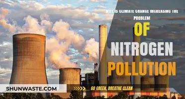 Climate Change's Role in Worsening Nitrogen Pollution Crisis
