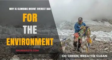 Climbing Everest's Environmental Toll: Pollution, Waste, and Ecosystem Disruption